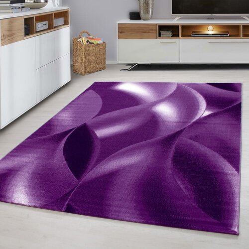 Ayyildiz Carpets Vijolična preproga 80x150 cm Plus &amp;ndash; Slike