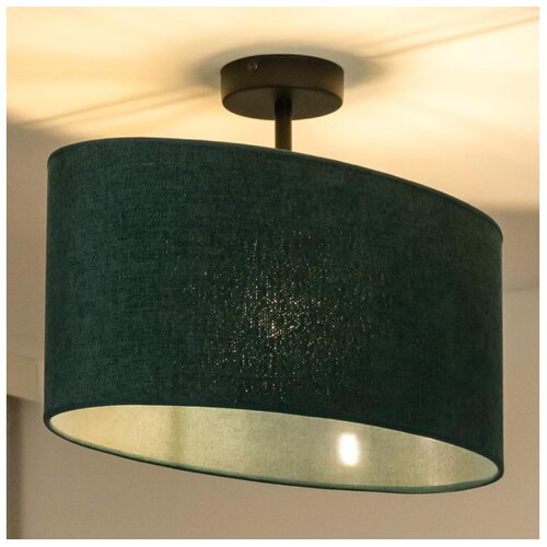  Duolla - Prislonjen zeleni plafonski luster OVAL 1xE27/15W/230V Cene