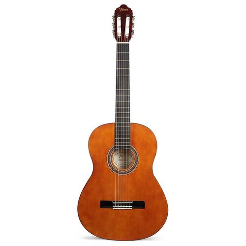 Valencia klasična gitara 4/4-set Cene