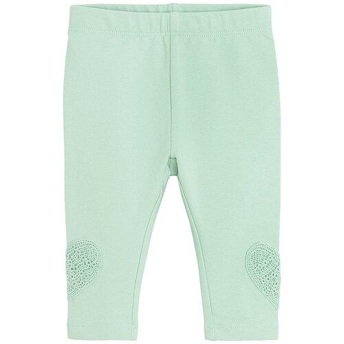 Cool club pajkice DH CCG3001445 D zelena 86 Cene