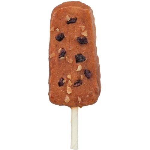 Trixie ljeto poslastica za pse Denta Fun Ice Pop patka, 45 g Cijene