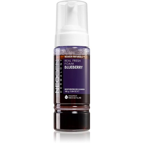 NEOGEN Dermalogy Real Fresh Blueberry hidratantna pjena za čišćenje 160 g Cijene