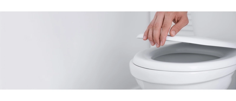 WC deske