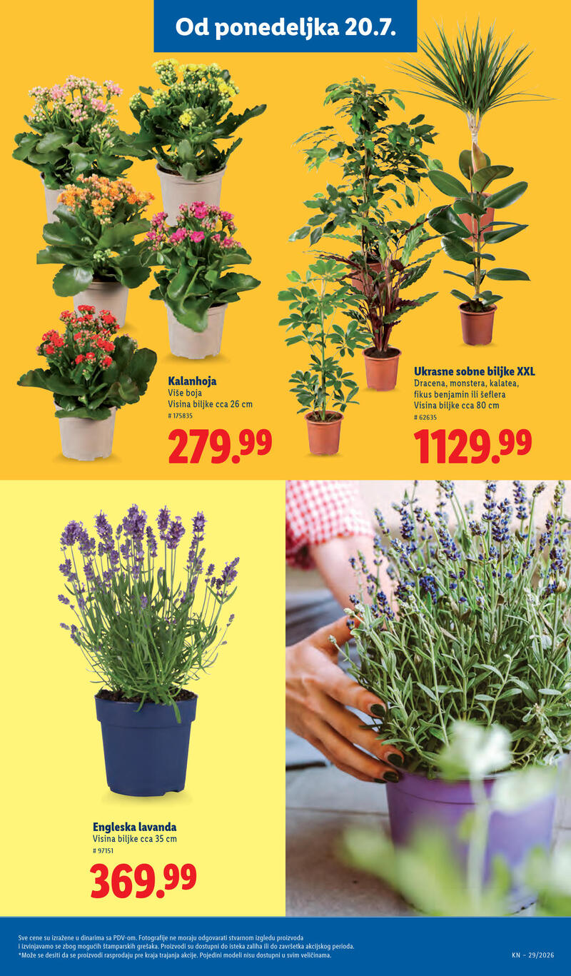 Lidl katalog akcija