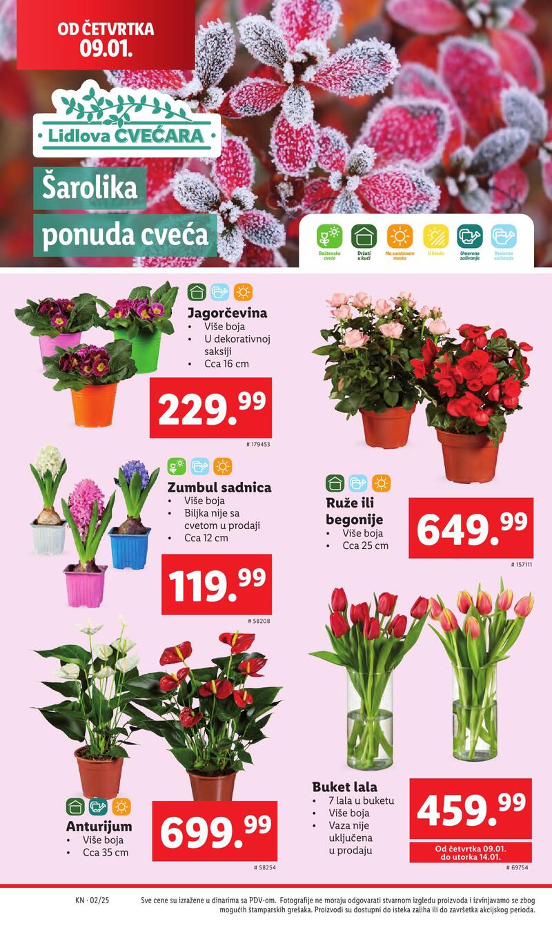 Lidl katalog akcija