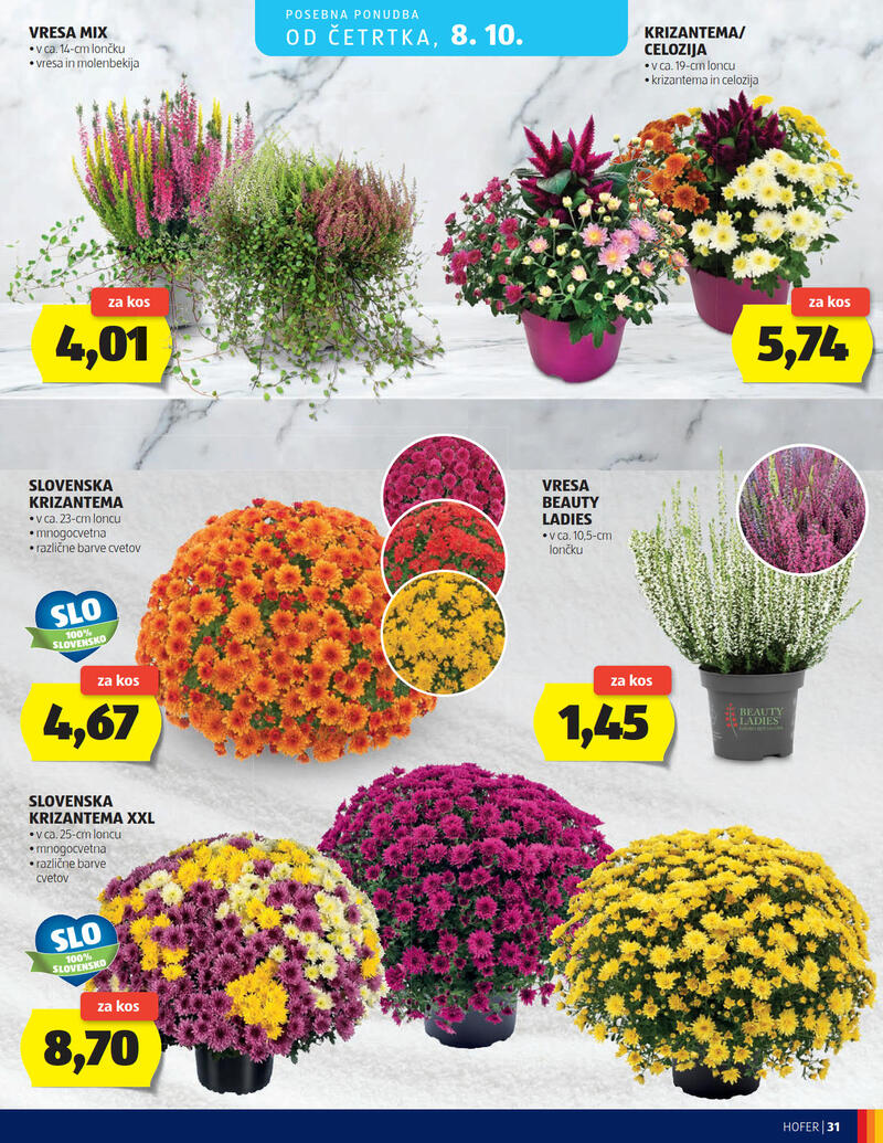 Hofer katalog - Tedenska akcija
