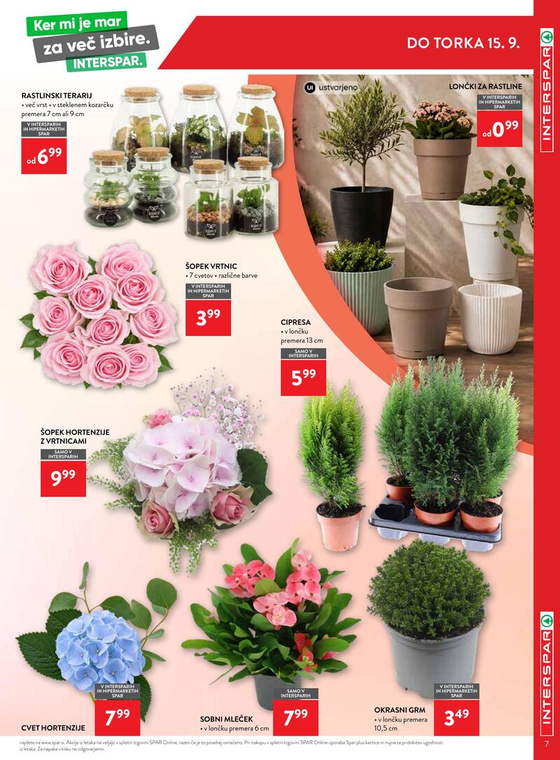 Spar interspar katalog