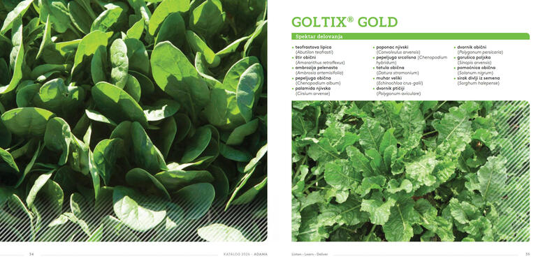 Adama katalog