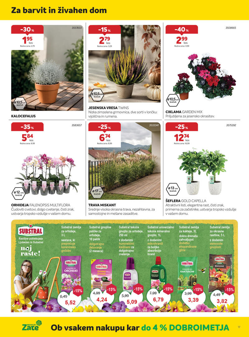 Merkur akcijski katalog