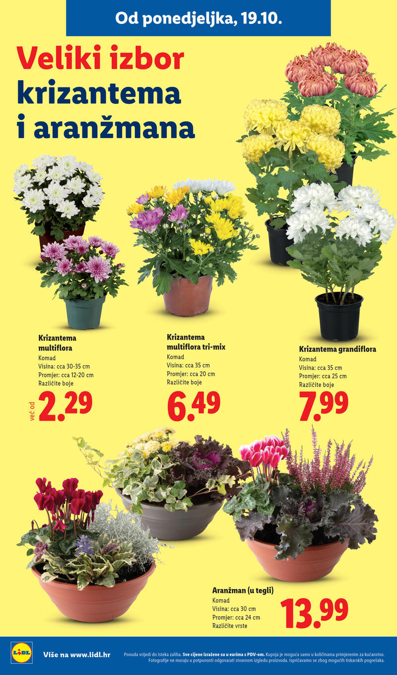 Lidl katalog - Tjedna akcija