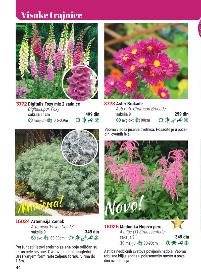 Flora ekspres katalog akcija