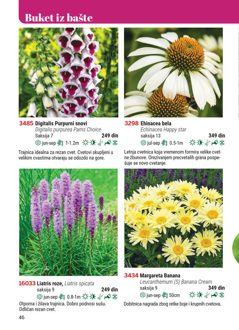 Flora ekspres katalog akcija