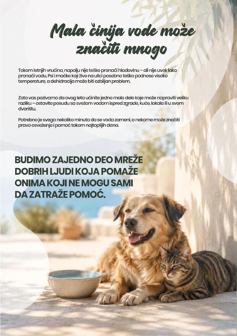 Pet centar akcijski katalog