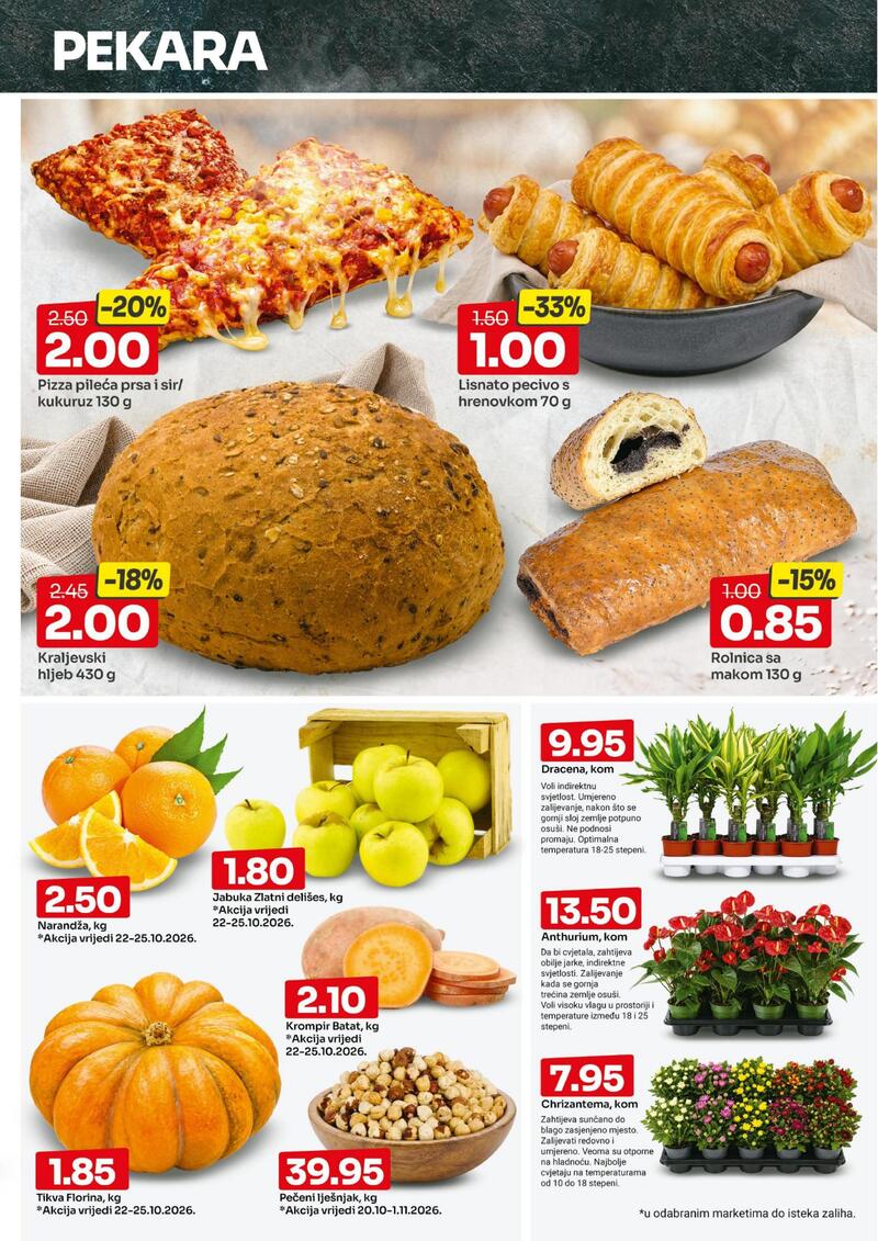 Bingo katalog - Dvonedeljna akcija