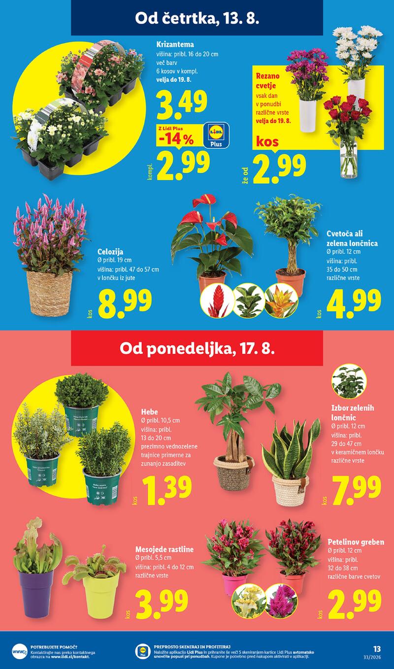 Lidl redni katalog