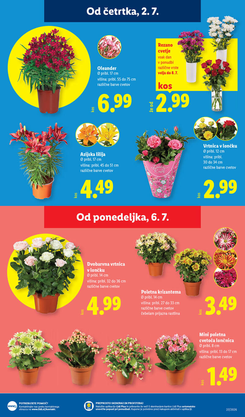 Lidl redni katalog