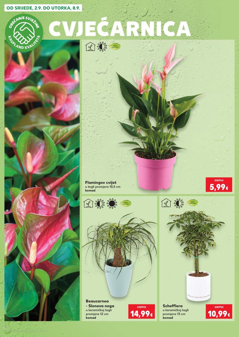 Kaufland online kataloška ponuda