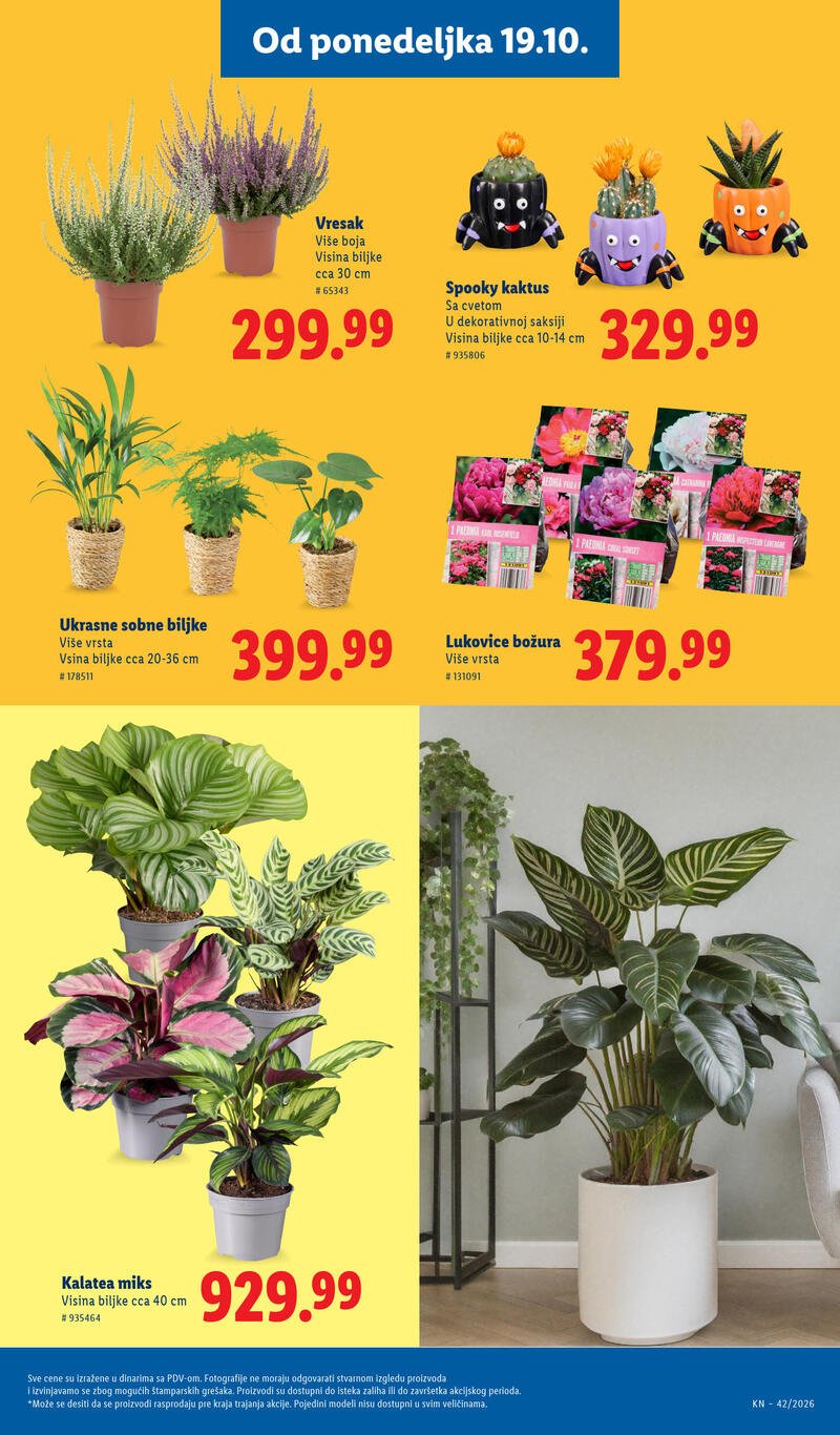 Lidl katalog - Nedeljna akcija