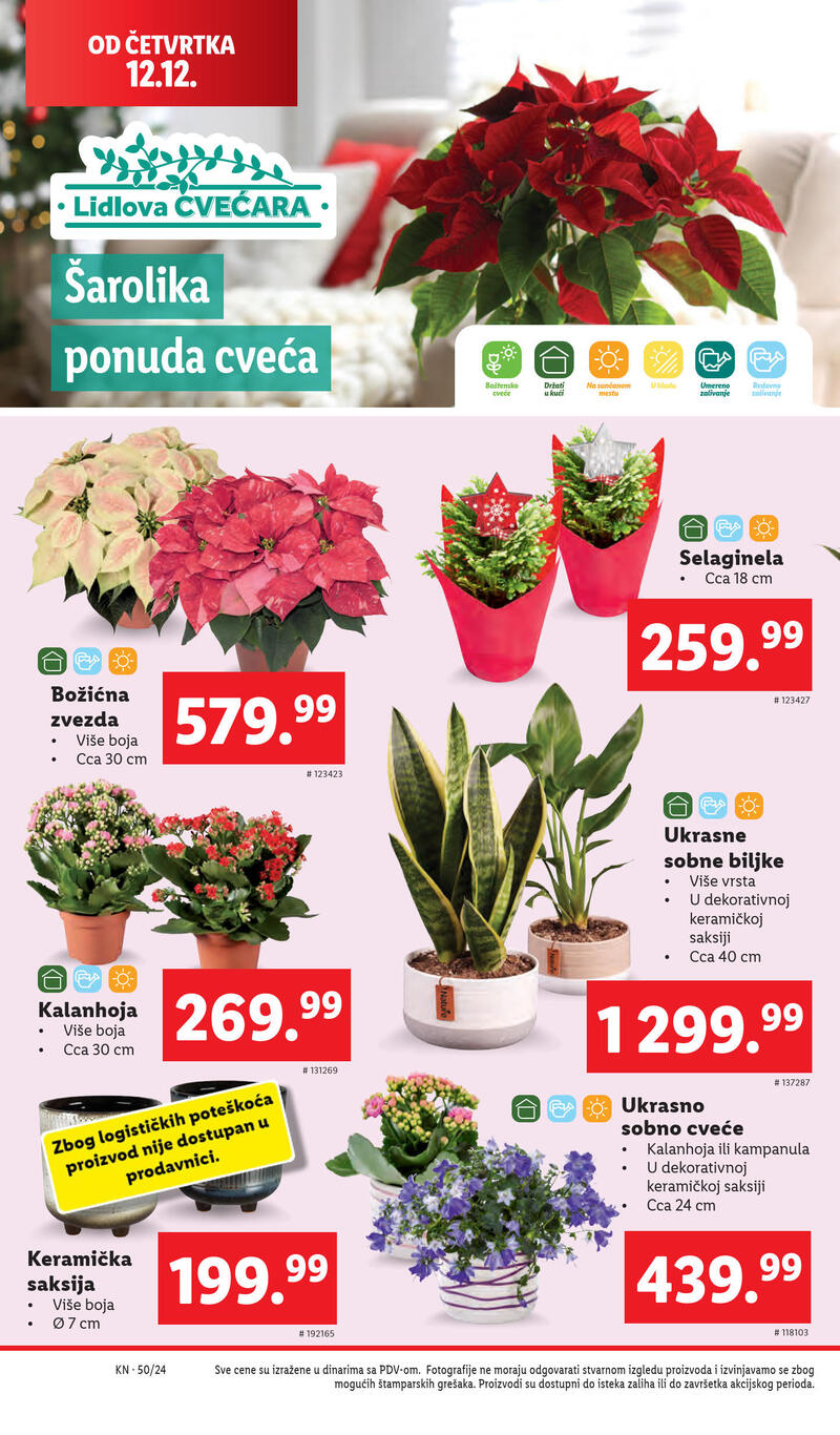 Lidl katalog akcija