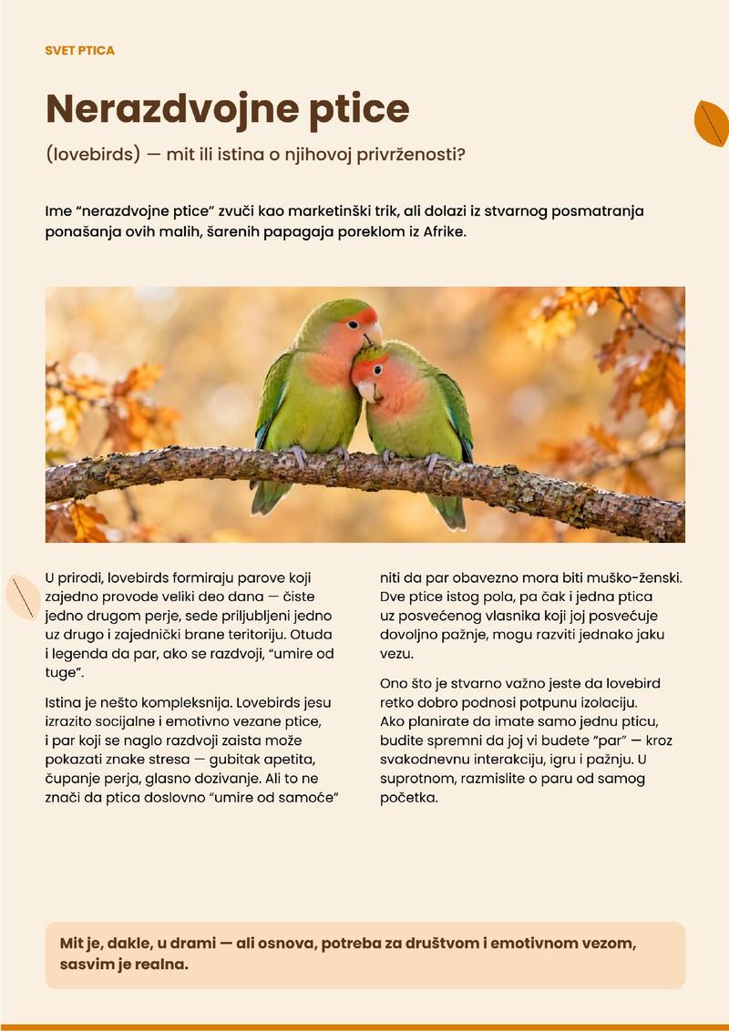 Pet centar katalog - Sve za kućne ljubimce