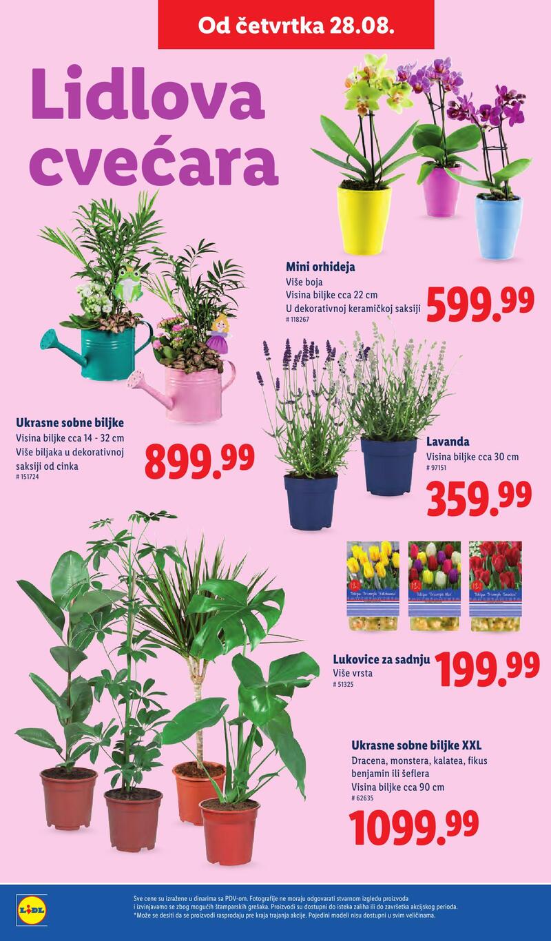 Lidl katalog akcija