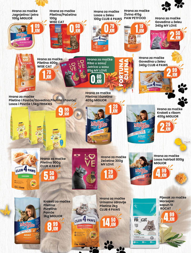 Fortuna market kataloška ponuda