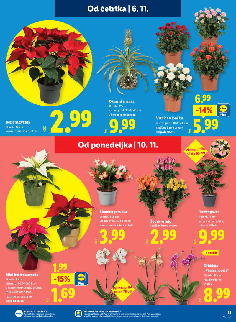 Lidl redni katalog