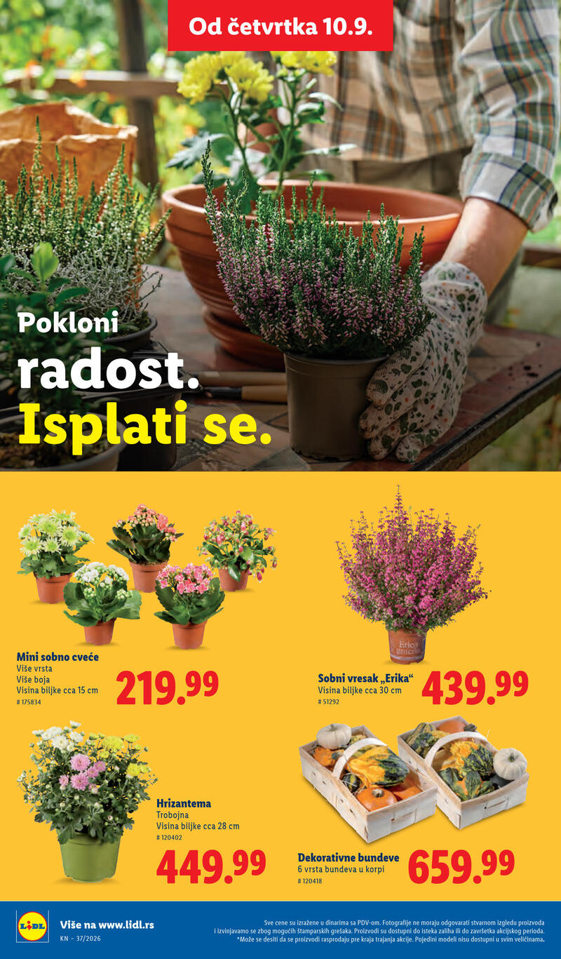 Lidl katalog akcija