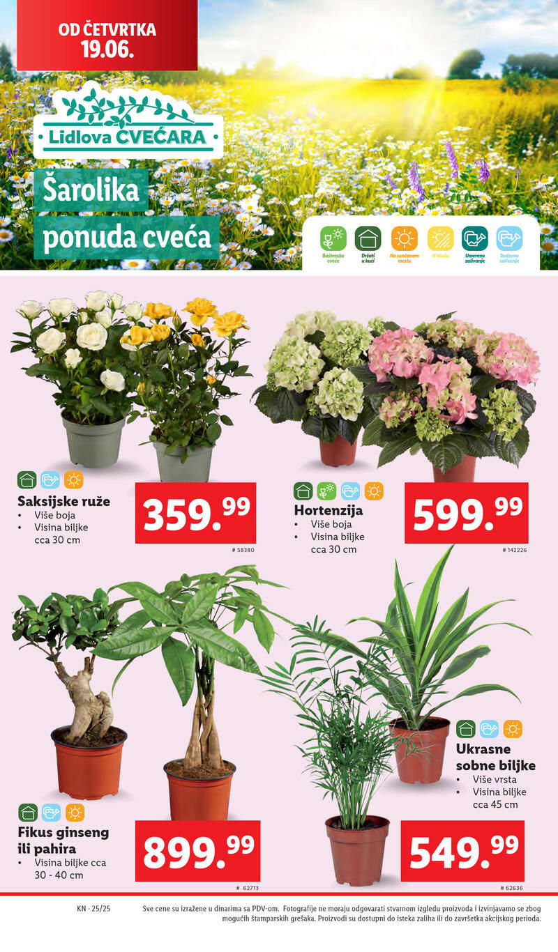 Lidl katalog akcija