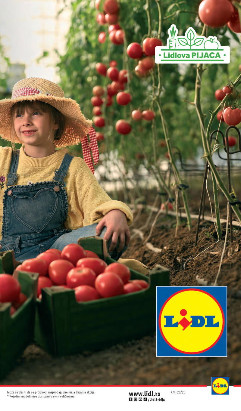 Lidl katalog akcija