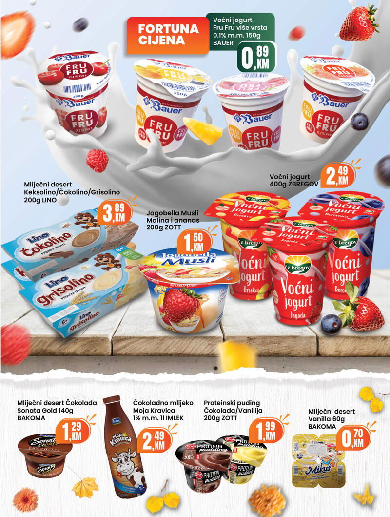 Fortuna market kataloška ponuda