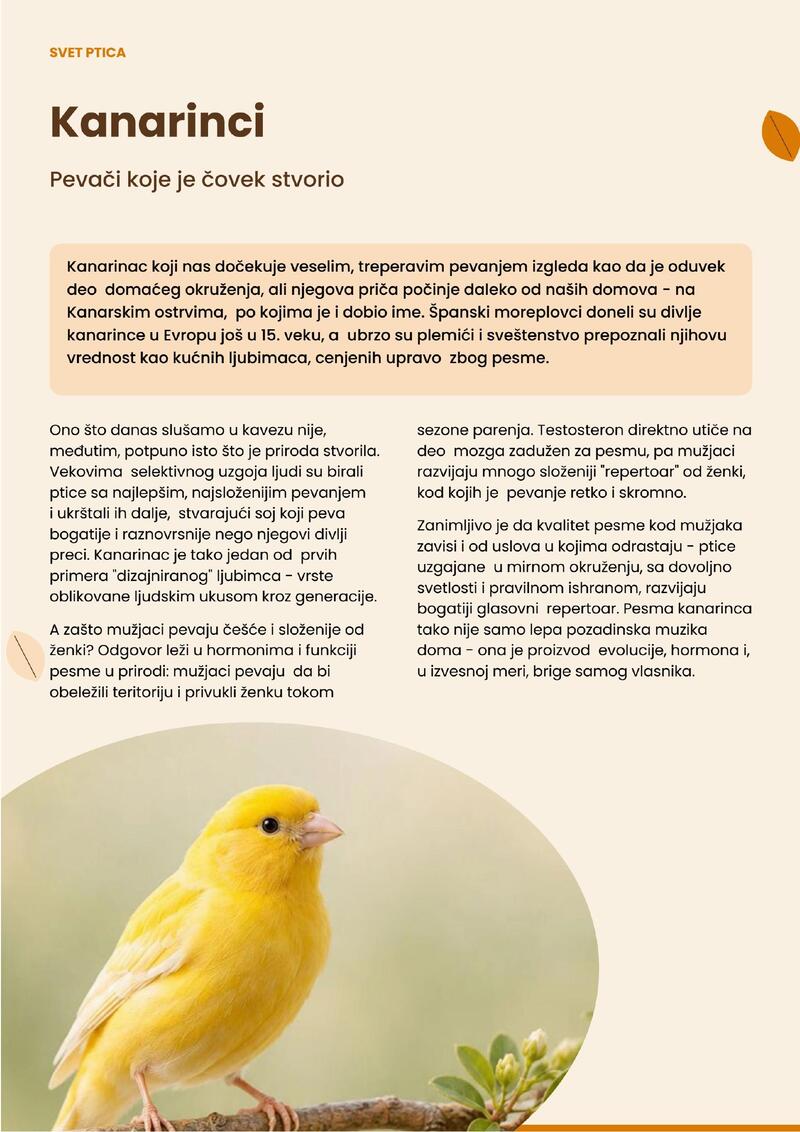 Pet centar katalog - Sve za kućne ljubimce