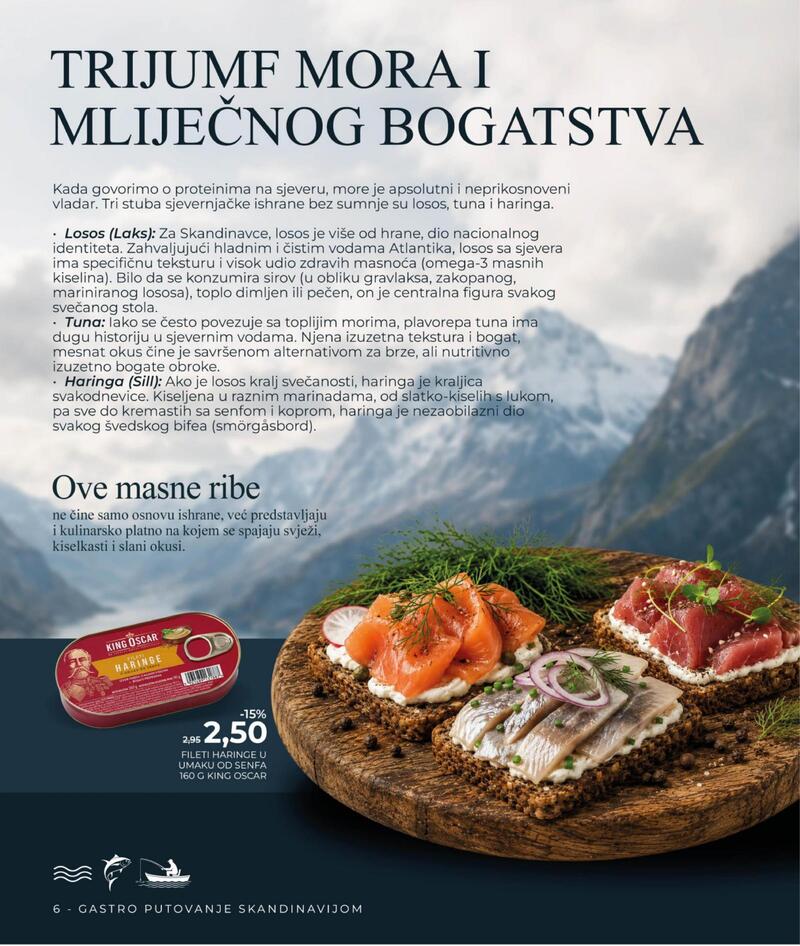 Bingo magazin +