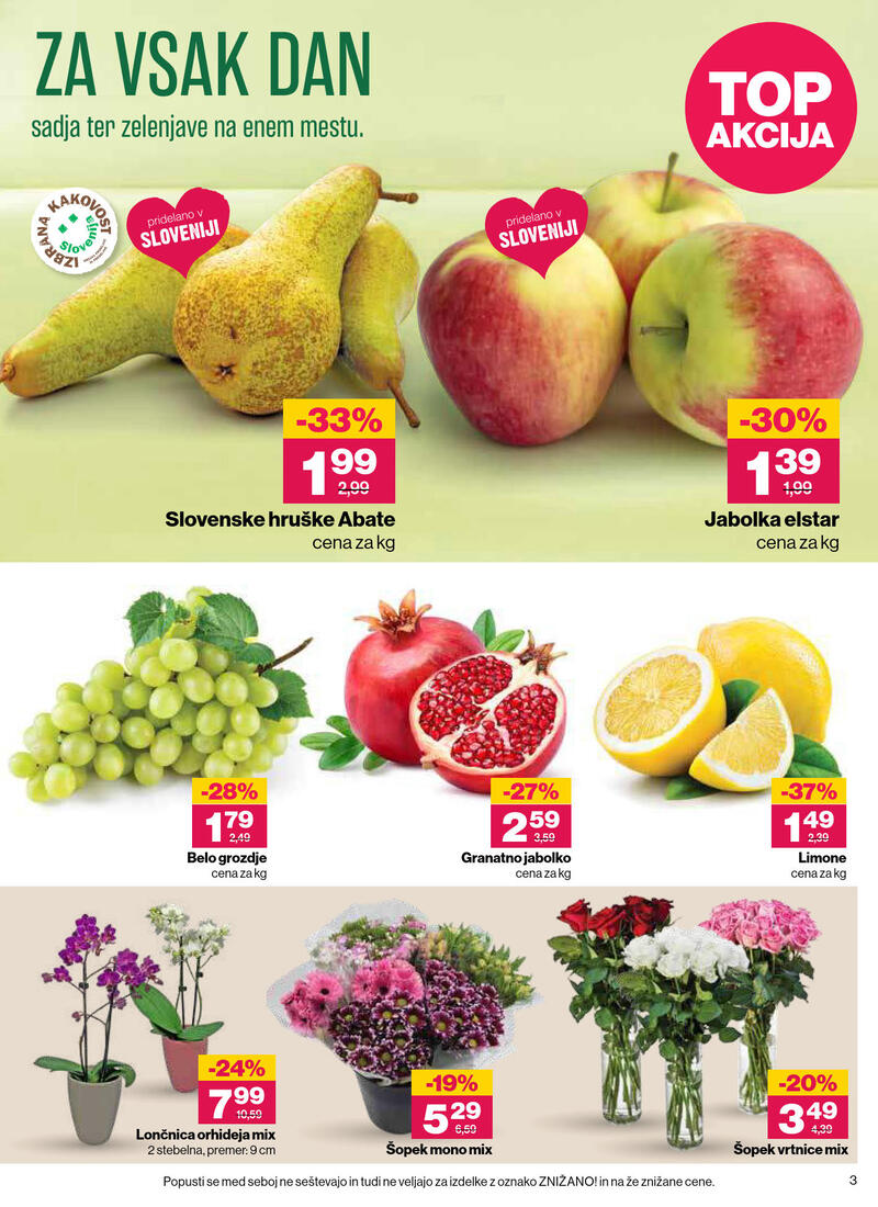 Mercator katalog - Redna akcija