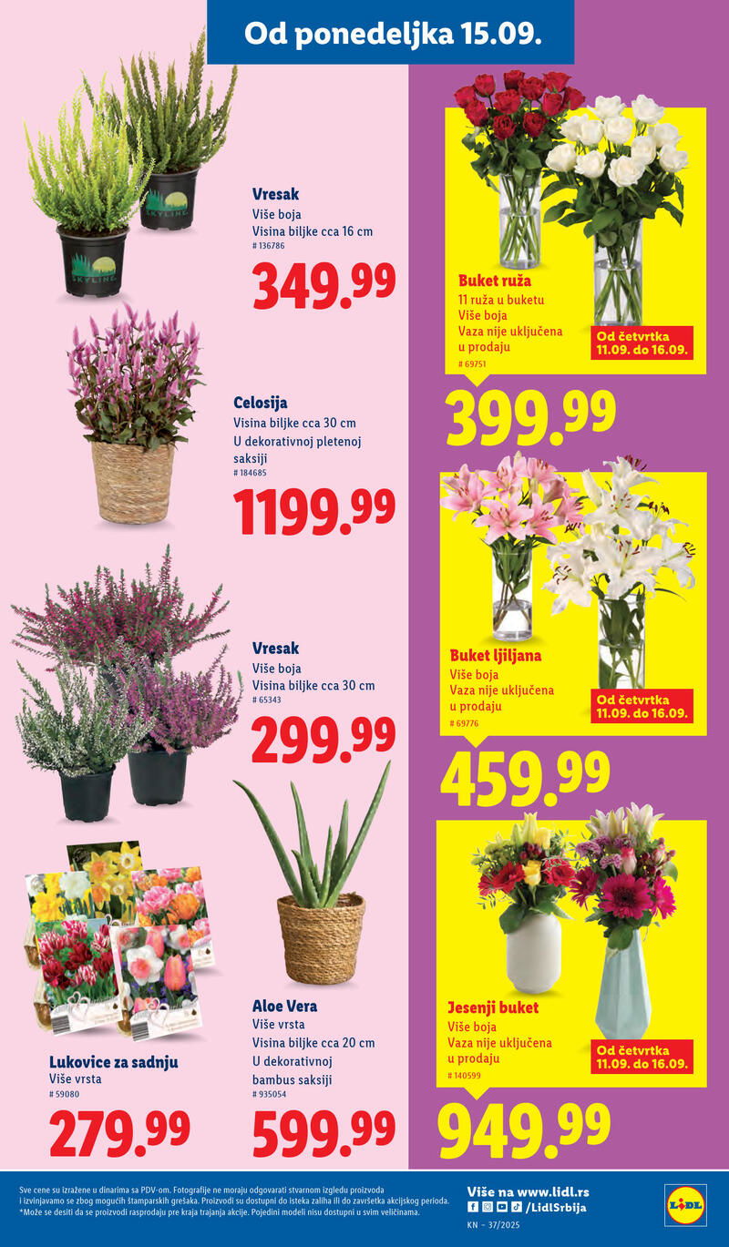 Lidl katalog akcija