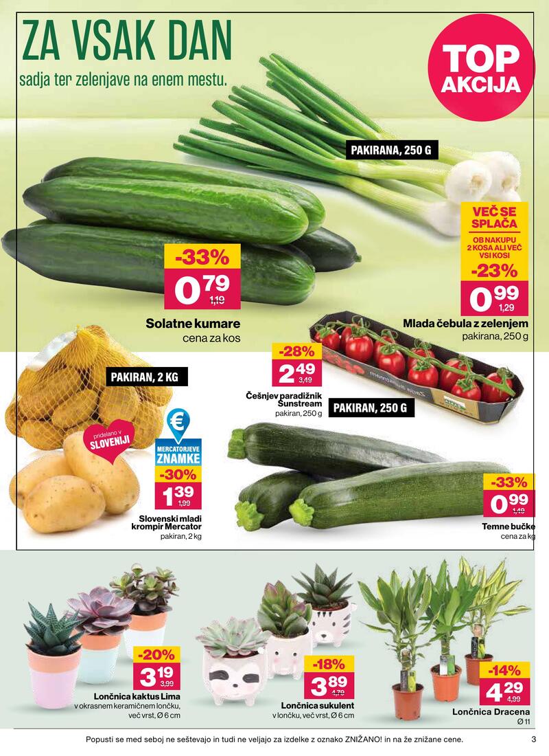 Mercator redni katalog