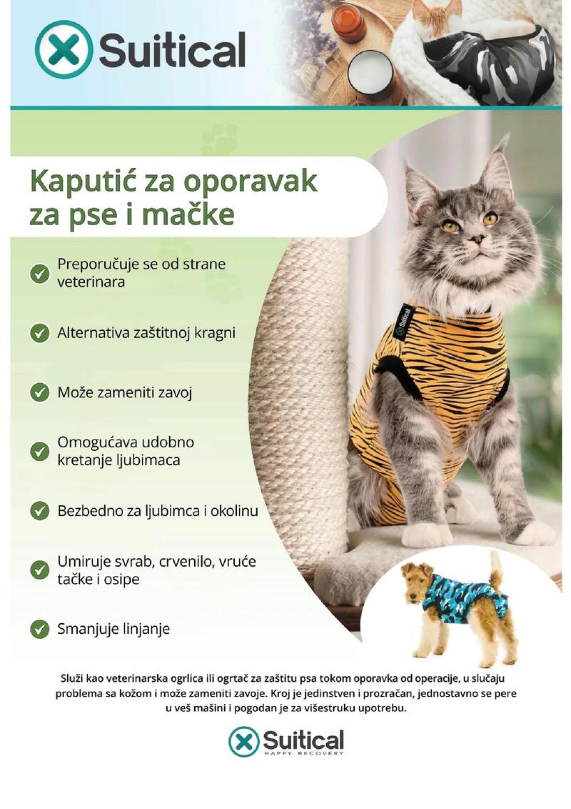 Pet centar akcijski katalog