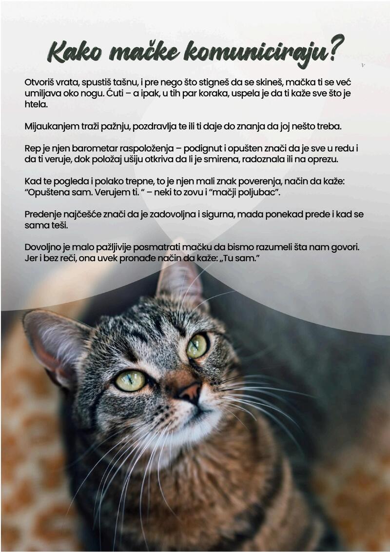 Pet centar akcijski katalog