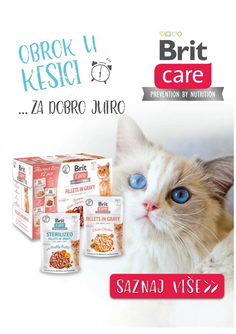 Pet centar akcijski katalog