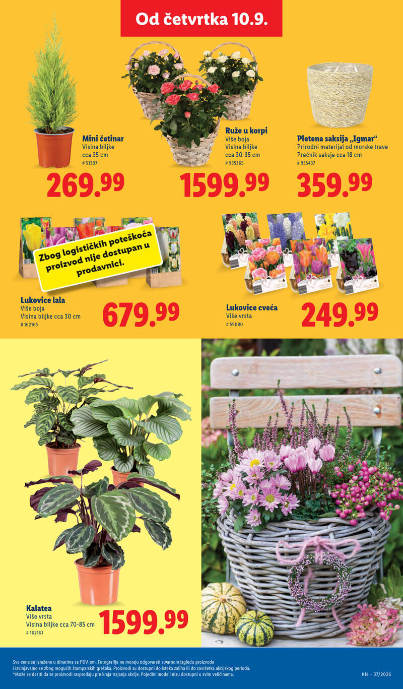Lidl katalog akcija