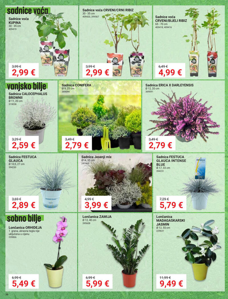 Pevex katalog - Mjesečna akcija