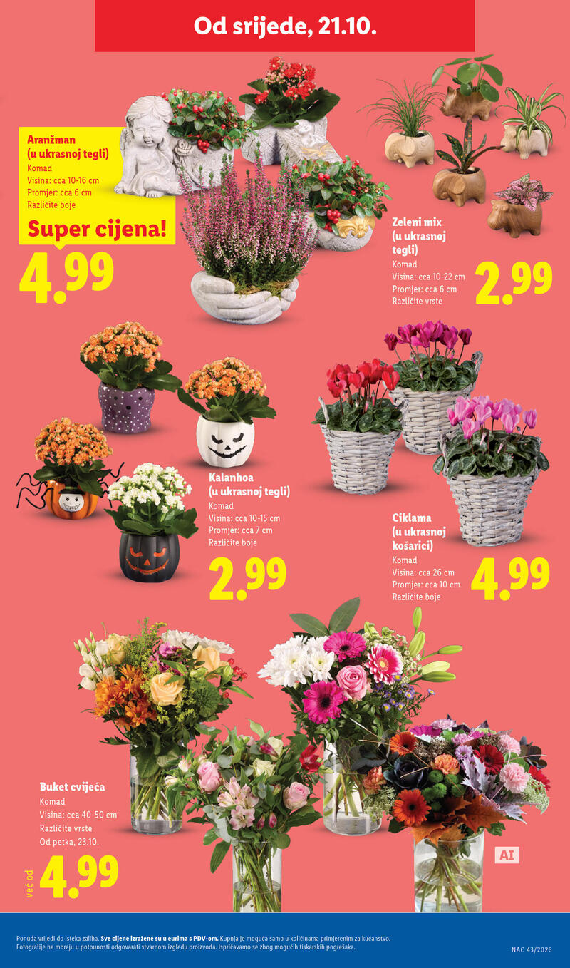 Lidl katalog - Tjedna akcija