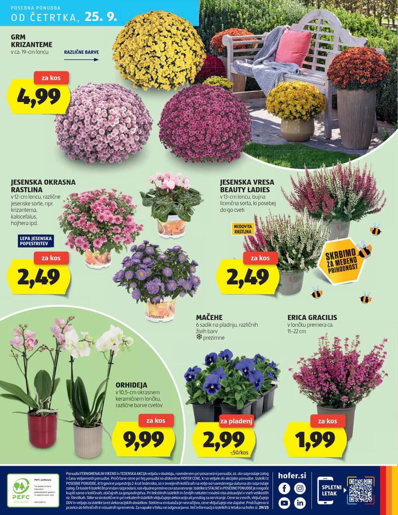 Hofer redni katalog