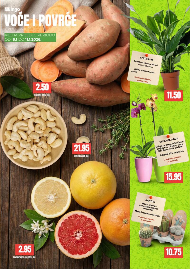 Bingo kataloška ponuda