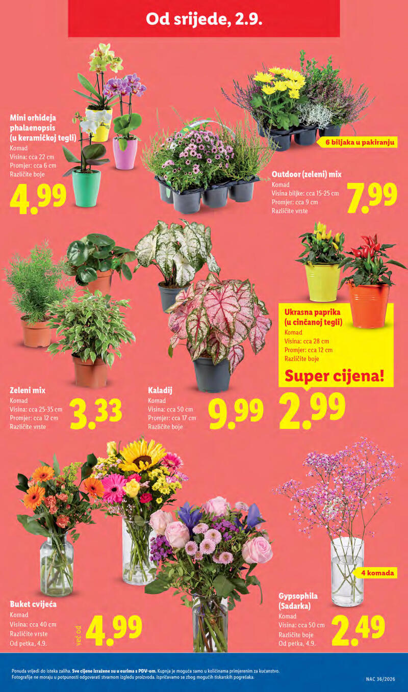 Lidl kataloška akcija