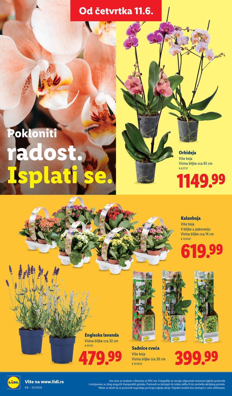 Lidl katalog akcija