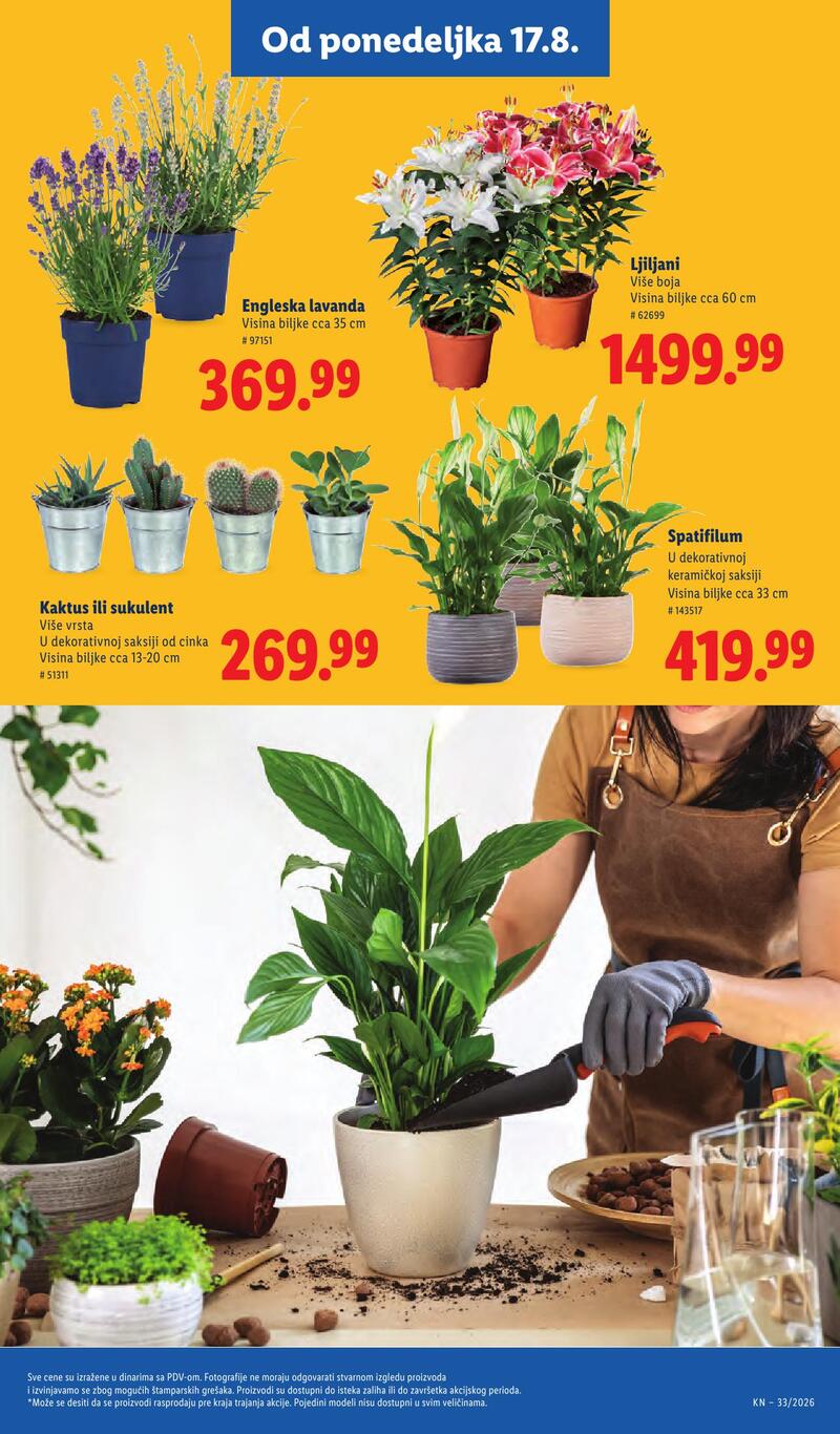 Lidl katalog akcija
