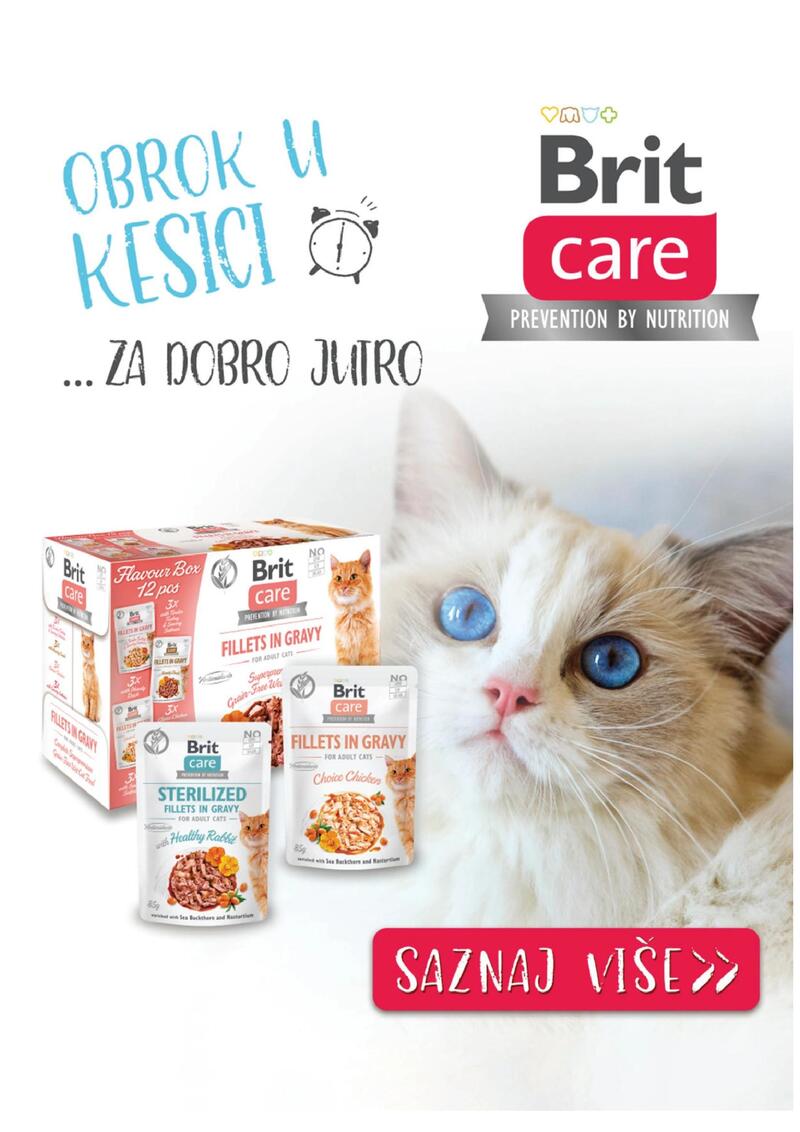 Pet centar akcijski katalog