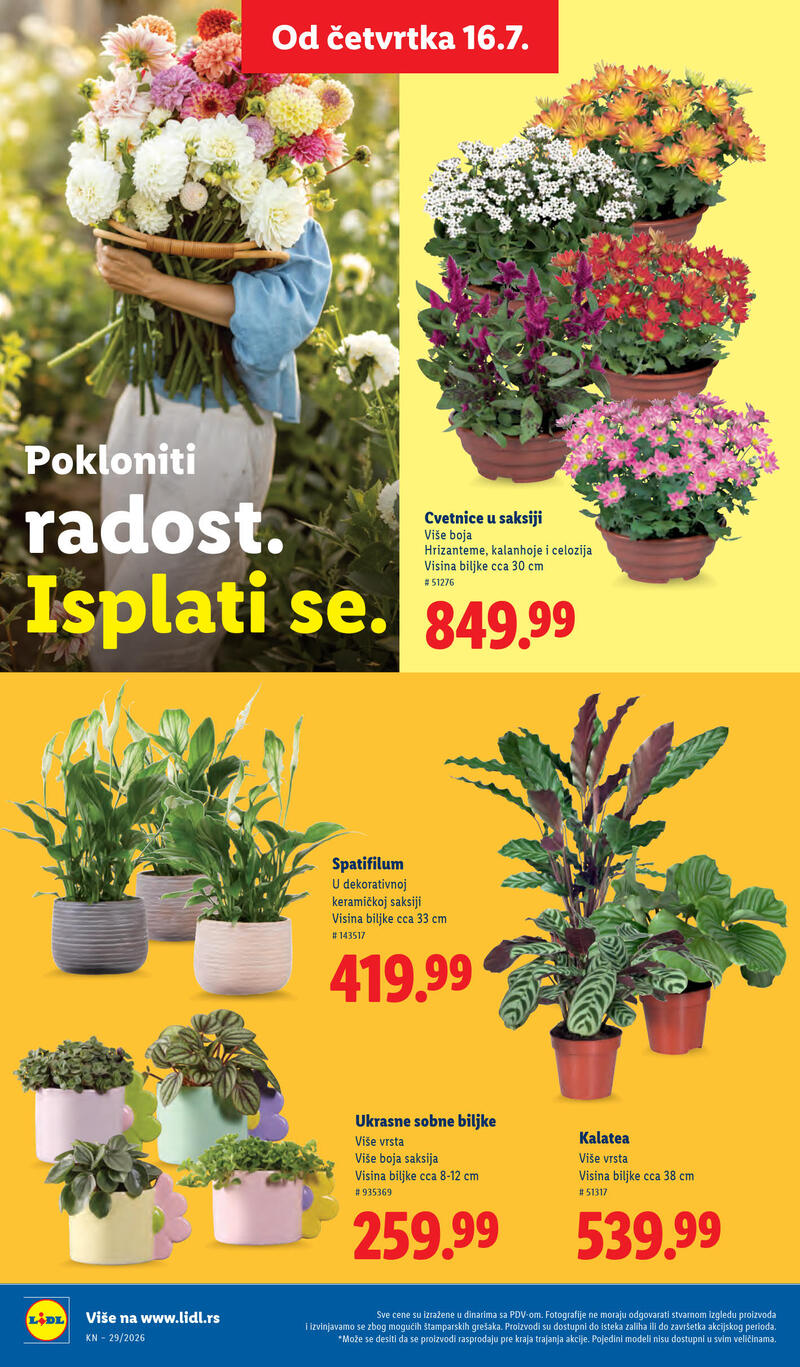 Lidl katalog akcija