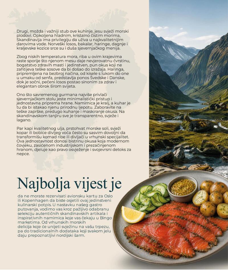 Bingo magazin +